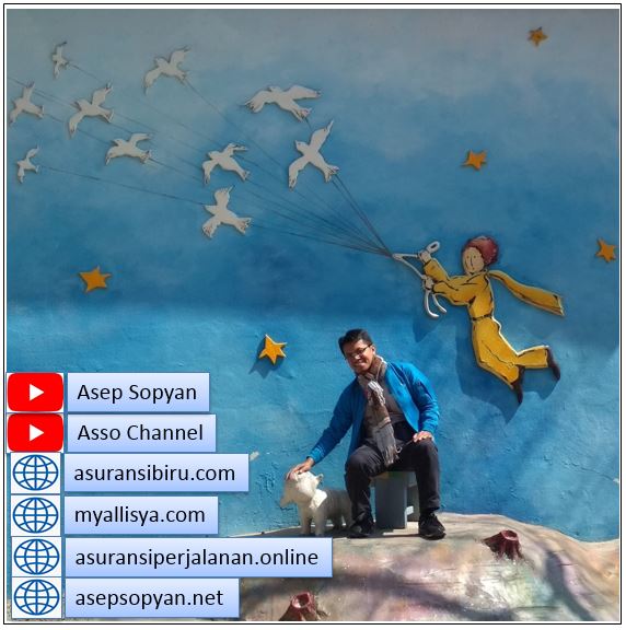 blog asso